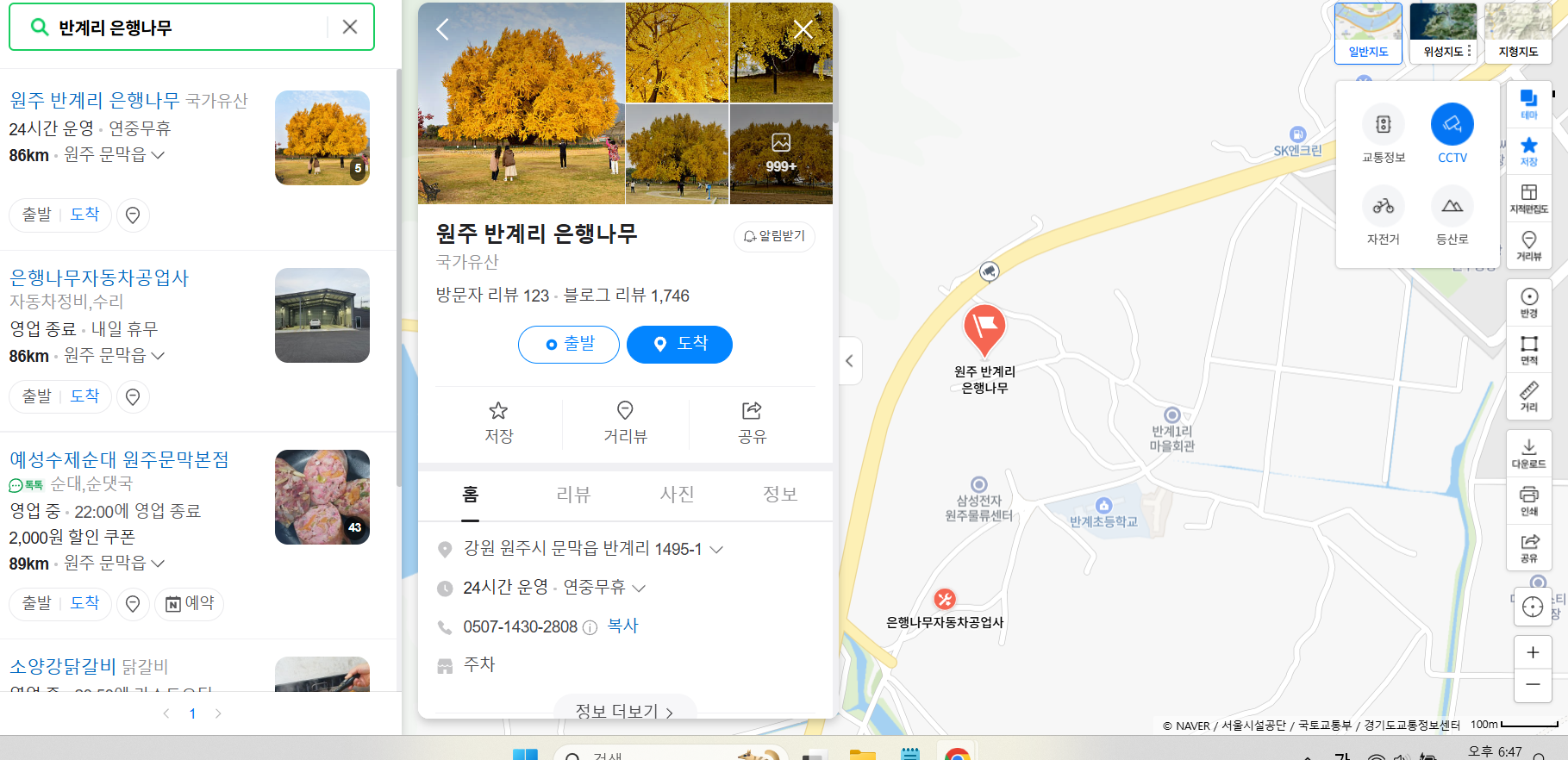 원주 반계리 은행나무 cctv 확인 방법