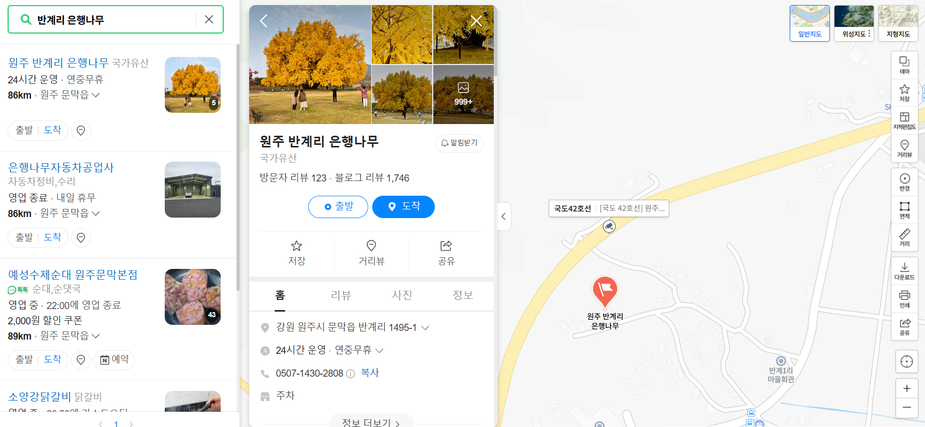 원주 반계리 은행나무 cctv