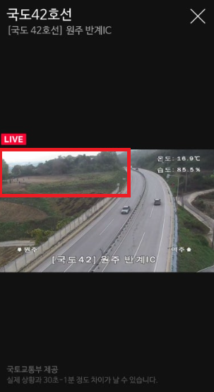 원주 반계리 은행나무 cctv