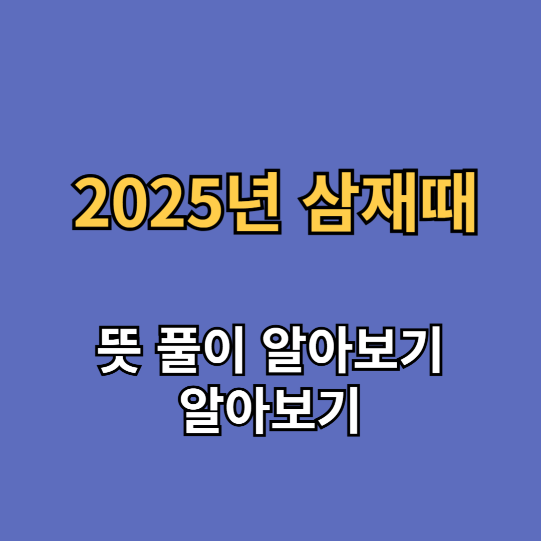 2025년 삼재띠