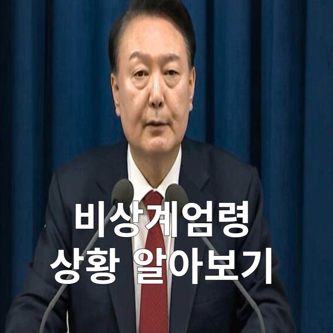 윤석열 비상계엄령 뜻 이유