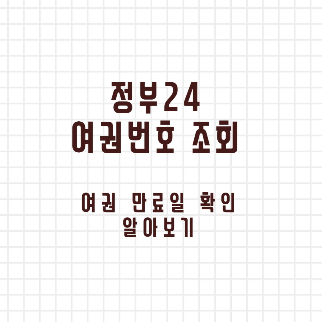 정부24 여권번호 조회 여권 만료일